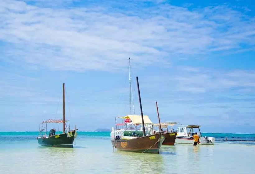 Mystik Life Style By Newmark