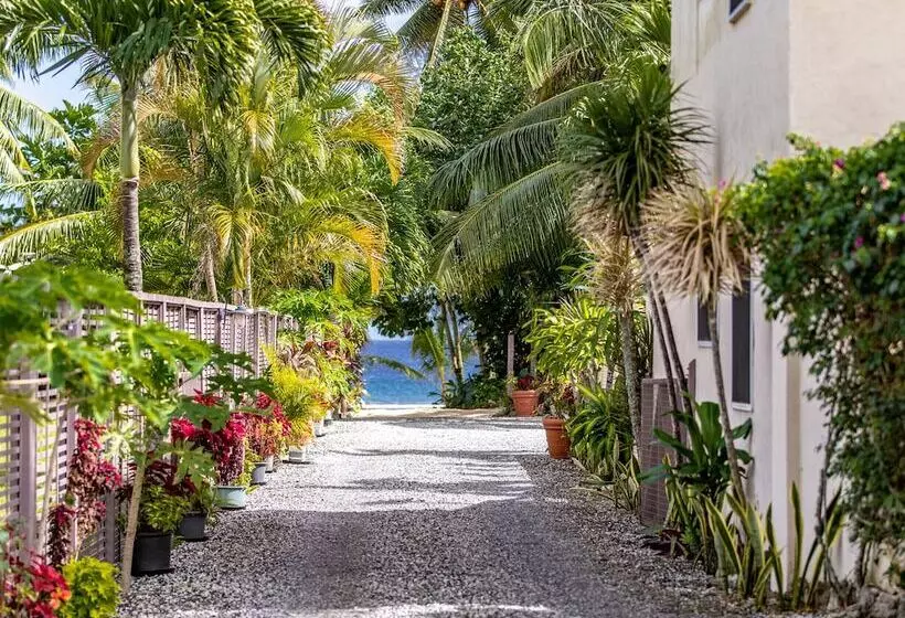 Coral Sands Apartments