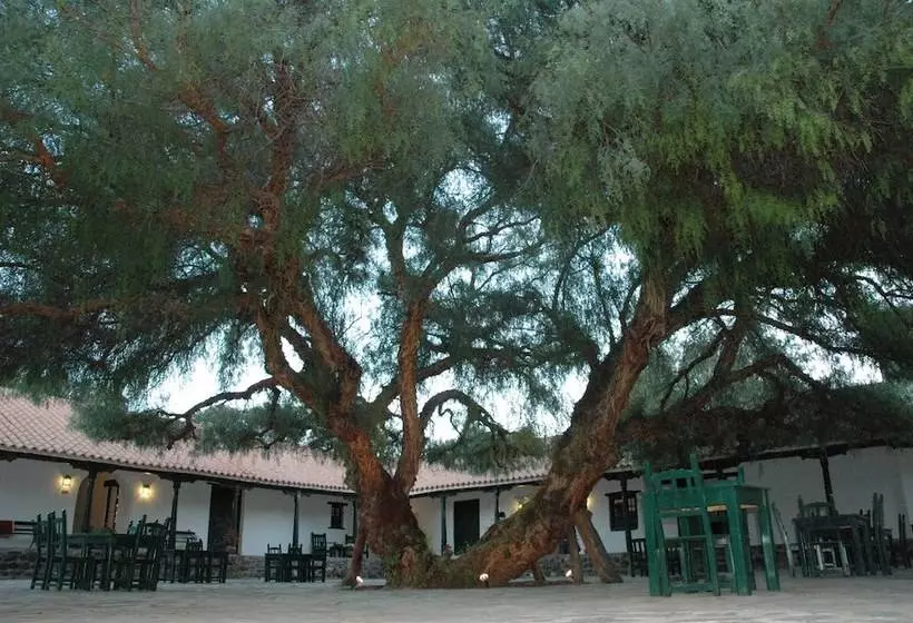 هتل Hacienda De Molinos