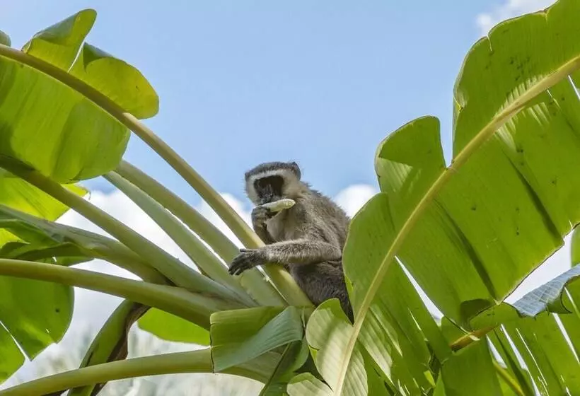 호텔 Kunene River Lodge