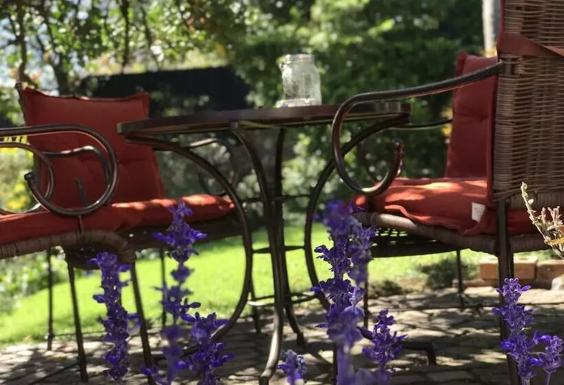 膳宿费 Claires Of Sandton Luxury Guest House