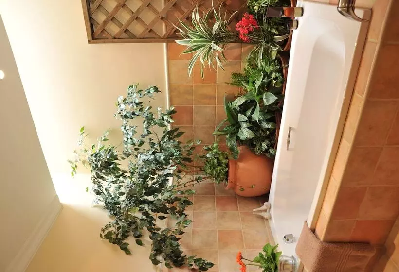 膳宿费 Claires Of Sandton Luxury Guest House