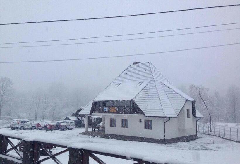 فندق Pensiunea Muntele Gaina