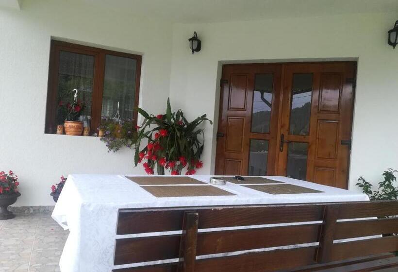 فندق Pensiunea Muntele Gaina