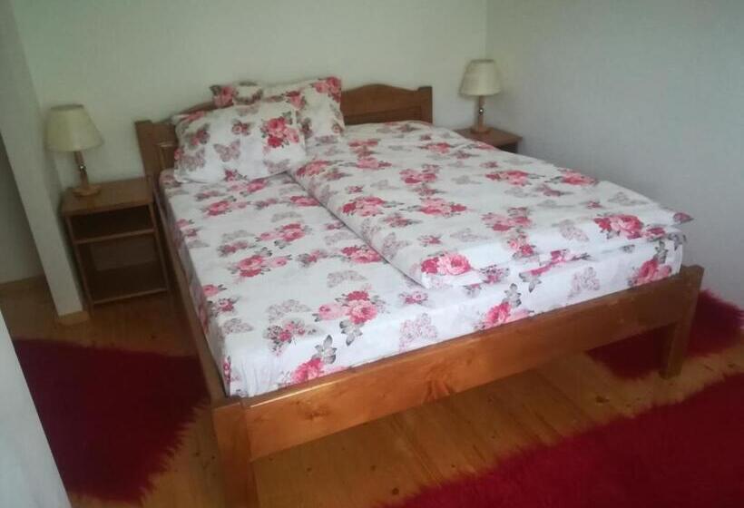 فندق Pensiunea Muntele Gaina