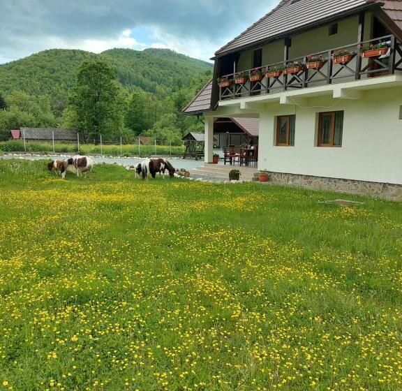 فندق Pensiunea Muntele Gaina