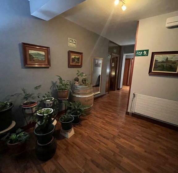 بنسيون Bakiola