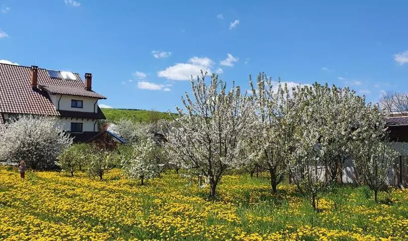 Majatalo Zestrea Bunicilor