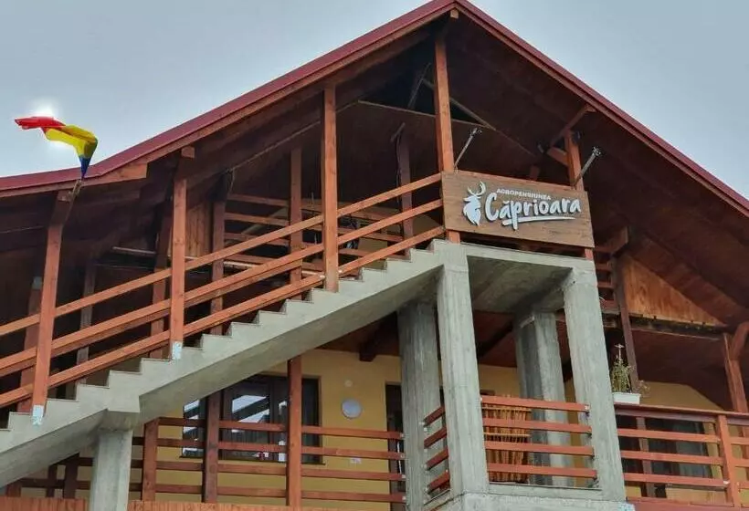 Agropensiunea Căprioara