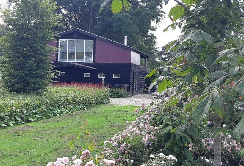 ベッドアンドブレックファースト De Tuinschuur