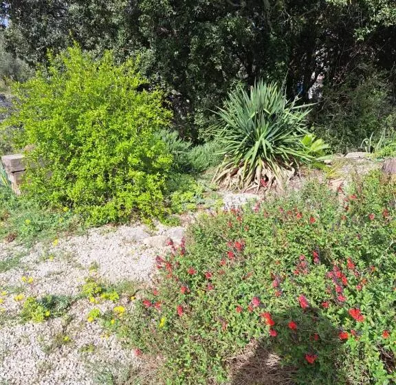 ベッドアンドブレックファースト Le Calme De La Garrigue