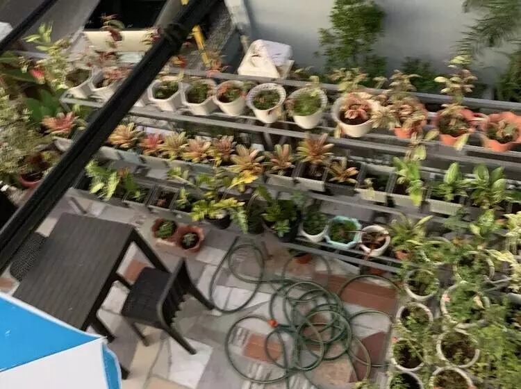 Majatalo Daves Suite