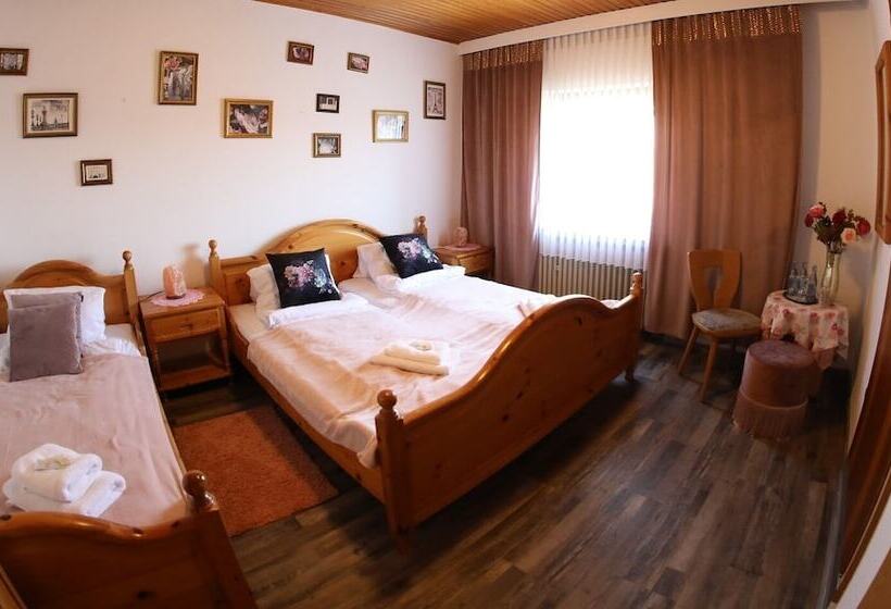 פנסיון Zum Burgkeller