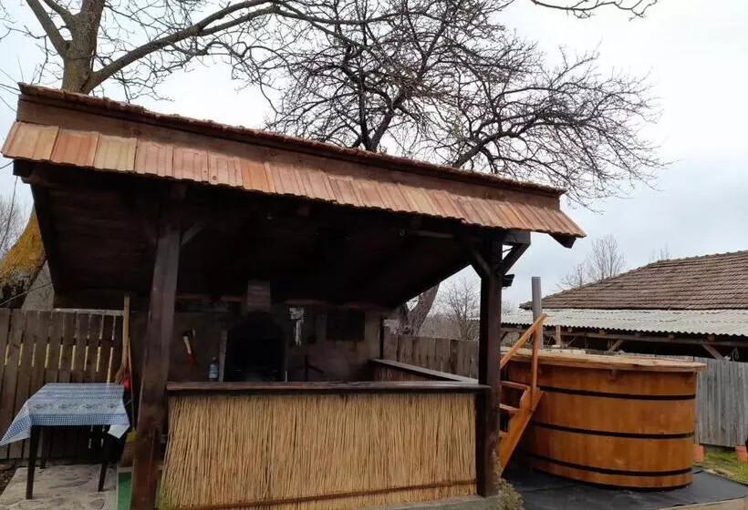 Pensiunea Narcisa Cu Ciubar