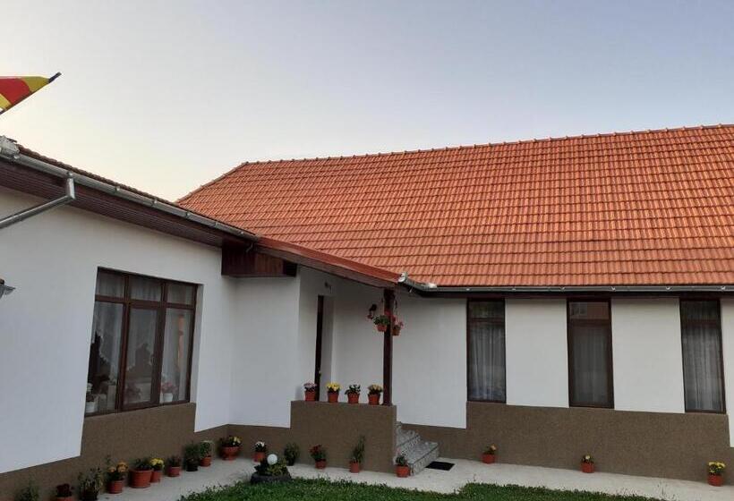 Pensiunea Narcisa Cu Ciubar