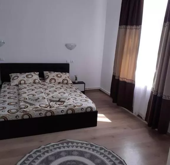 Pensiunea Narcisa Cu Ciubar