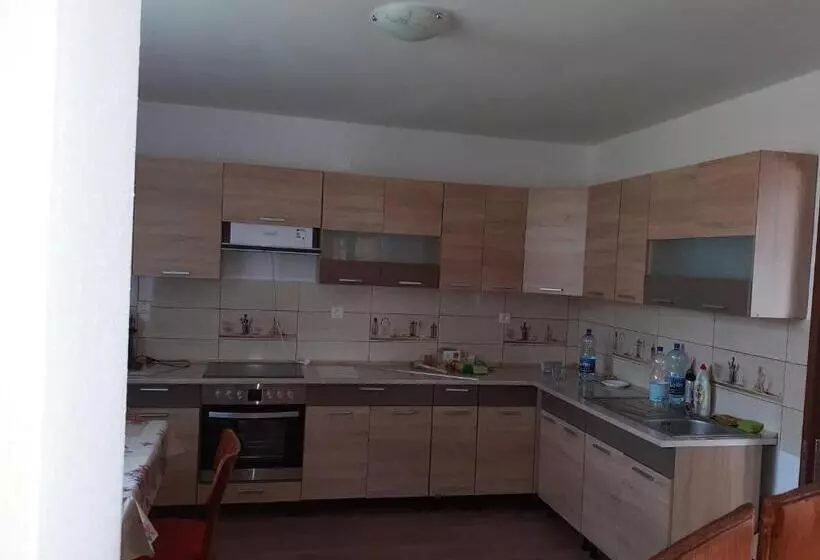 Pensiunea Narcisa Cu Ciubar