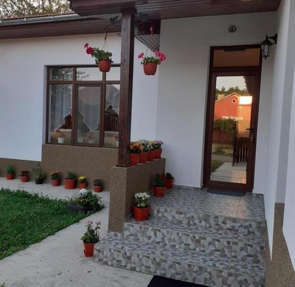 Pensiunea Narcisa Cu Ciubar