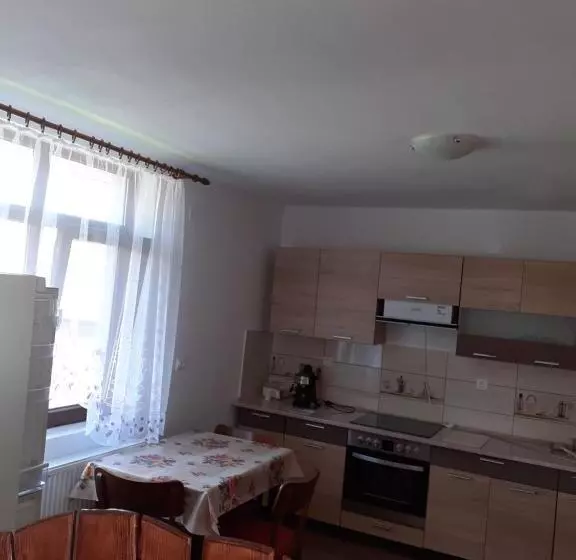 Pensiunea Narcisa Cu Ciubar