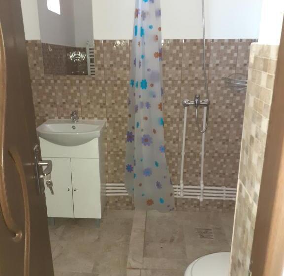 Pensiunea Narcisa Cu Ciubar