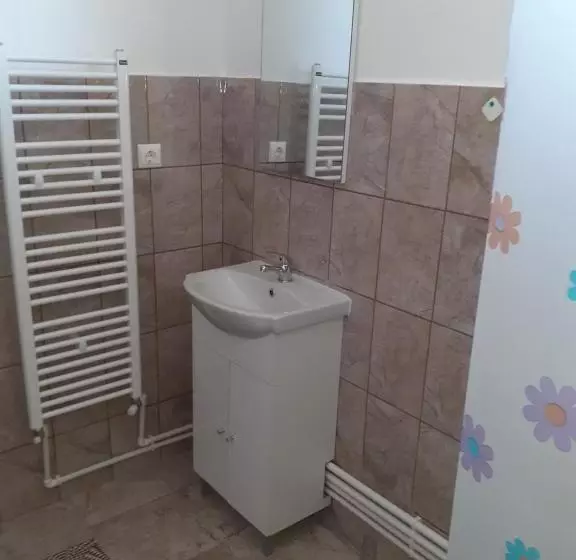 Pensiunea Narcisa Cu Ciubar