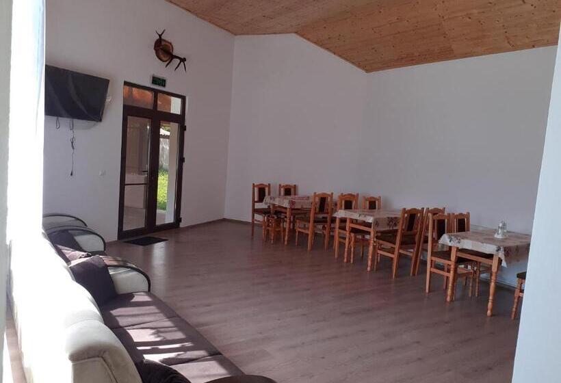 Pensiunea Narcisa Cu Ciubar