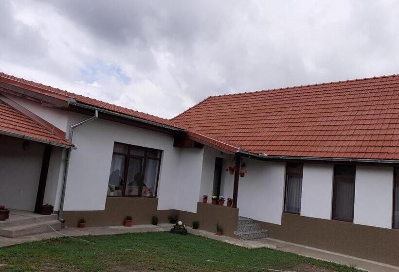 Pensiunea Narcisa Cu Ciubar