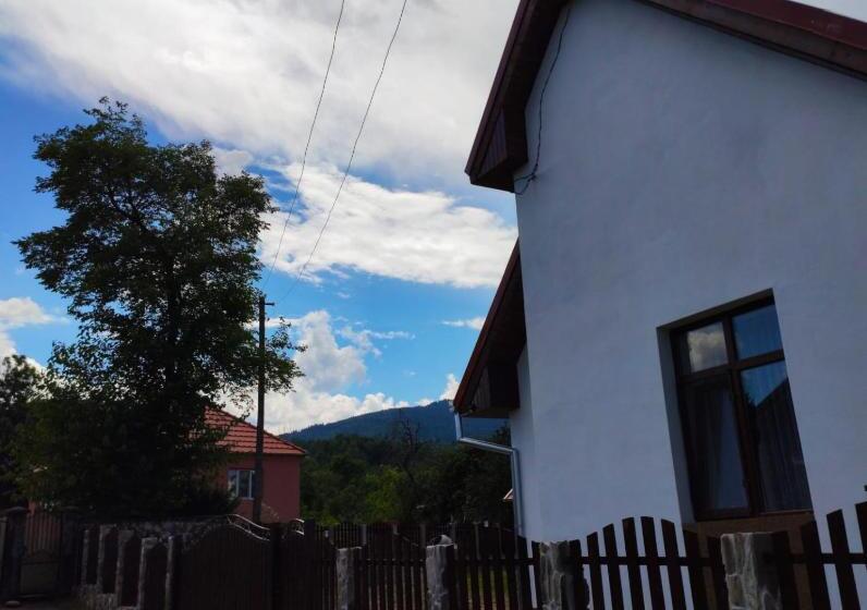 Pensiunea Narcisa Cu Ciubar