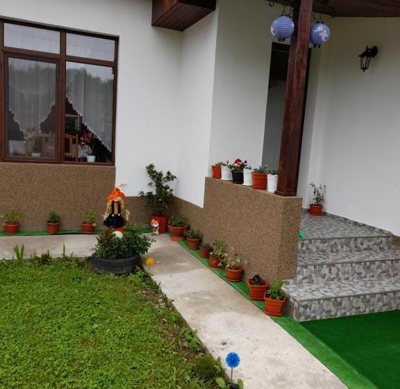 Pensiunea Narcisa Cu Ciubar