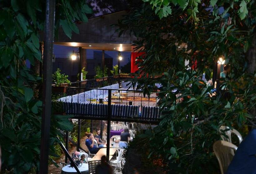 旅馆 Zeytinada Pansiyon Ve Gozleme