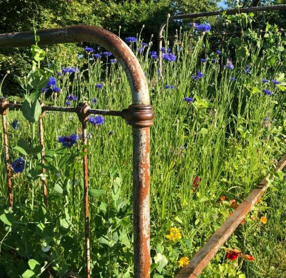 Bed and Breakfast Dealettante