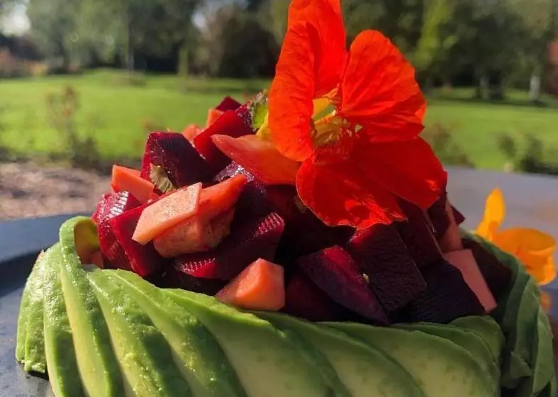 Aamiaismajoitus (B&B) Dealettante