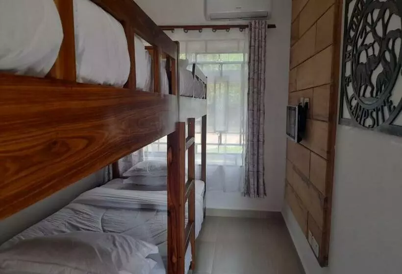 Mkomazi Hotels And Camps