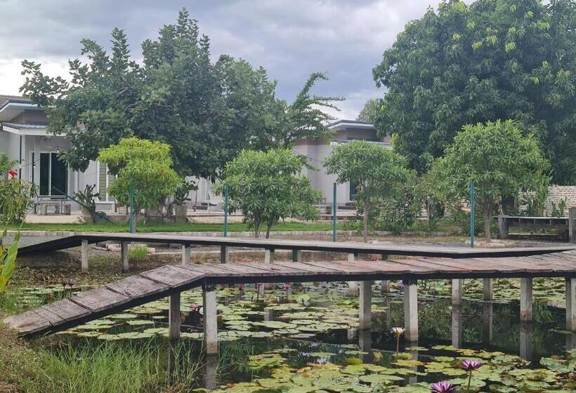 膳宿费 Araya Cottage