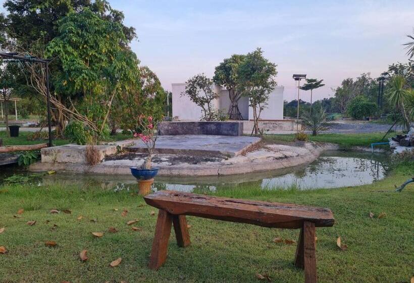 膳宿费 Araya Cottage