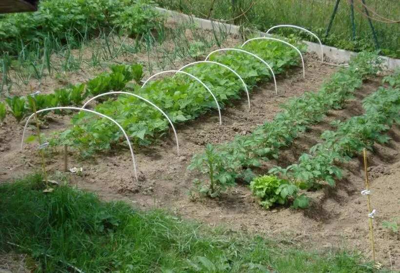 Majatalo Chambre D Hotes La Source Aveyron