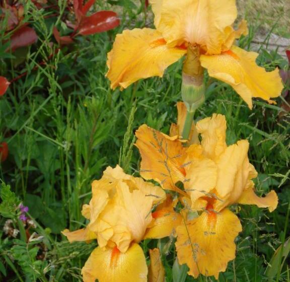 ペンション Chambre D Hotes La Source Aveyron