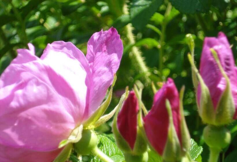 ペンション Chambre D Hotes La Source Aveyron