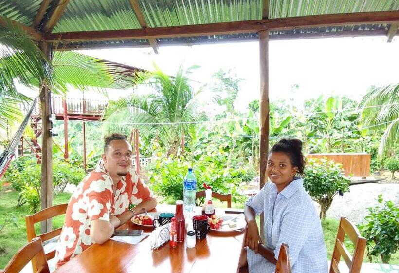 بنسيون Hostal Bullshark