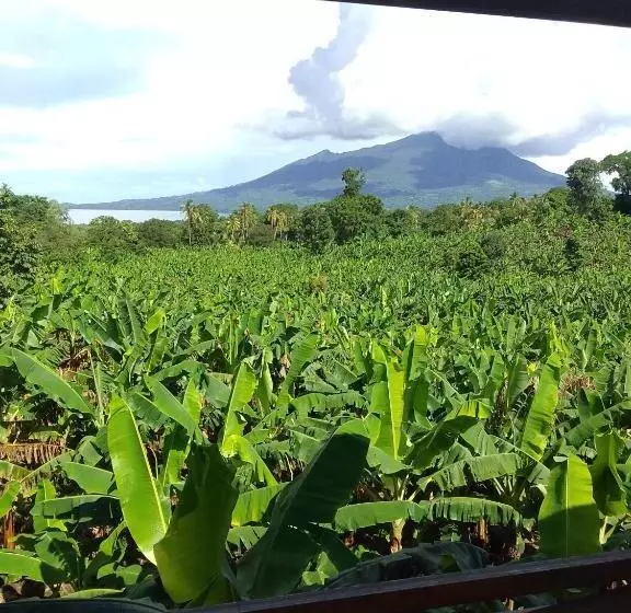 Majatalo Hostal Bullshark