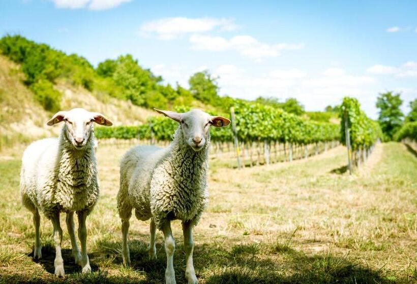 פנסיון Weingut Burger