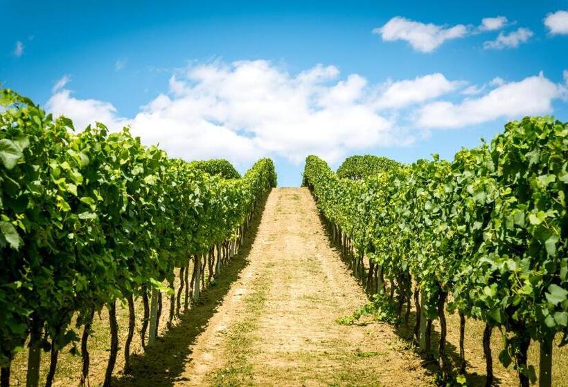 פנסיון Weingut Burger