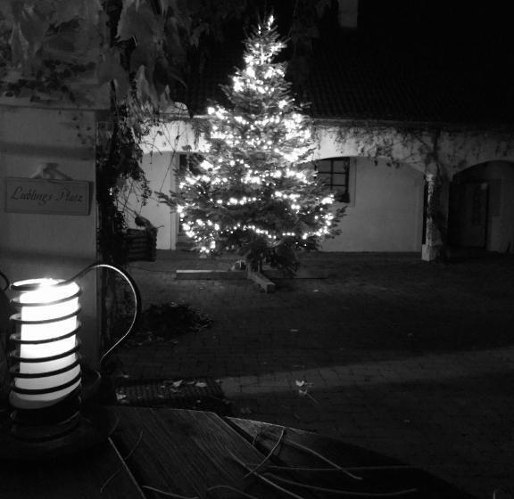 פנסיון Weingut Burger