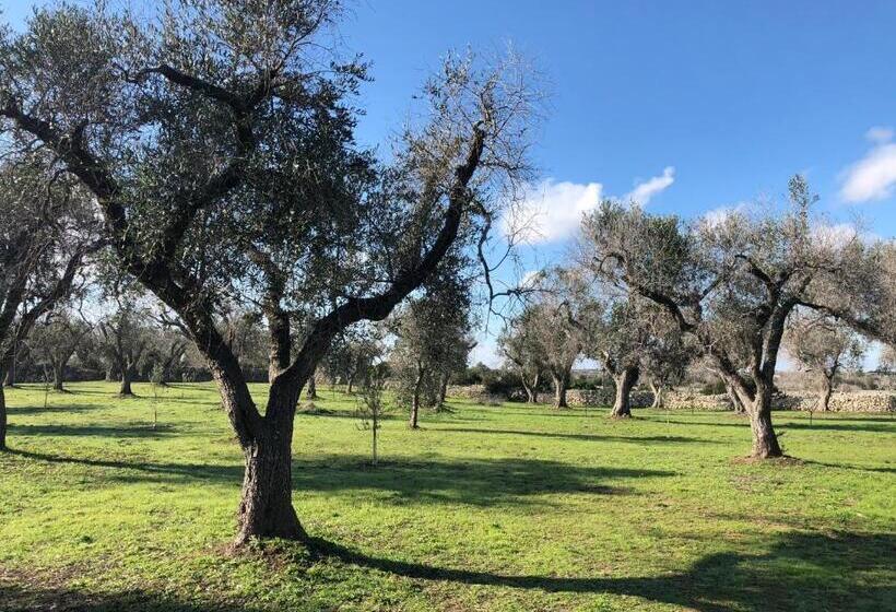 צימר Terecate Experimental Relais