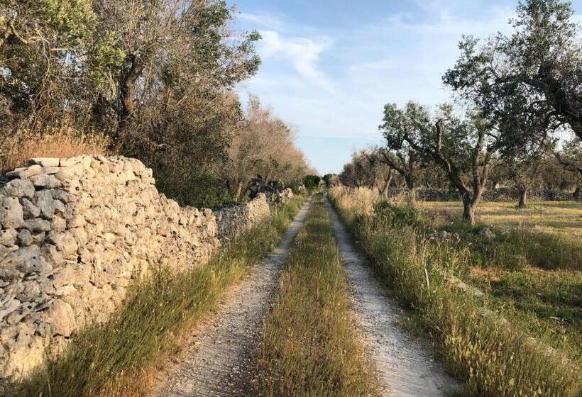 צימר Terecate Experimental Relais