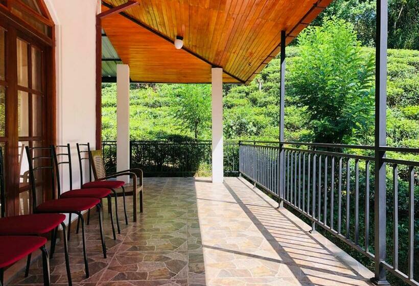 בית מלון כפרי Carmel Hill Resort