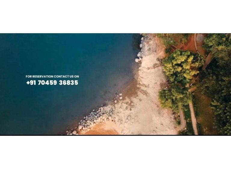 Отель Dolphin Rooms