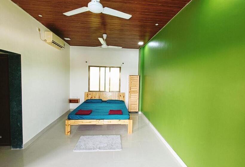 Отель Dolphin Rooms