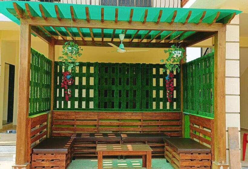 Отель Dolphin Rooms