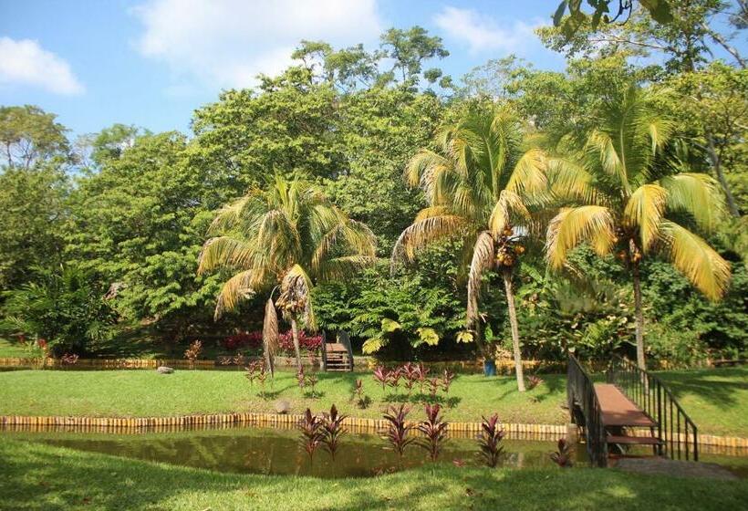 هتل Villa Amanda Resort